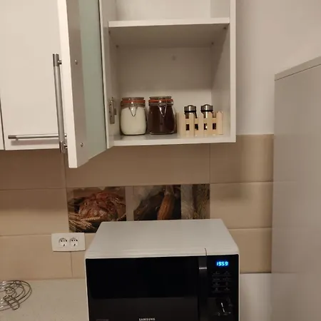 Apartment Coresi